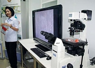 แพทย์อธิบายวิธีการพัฒนาสเต็มเซลล์เพื่อรักษา 'โรคจอประสาทตาเสื่อม'