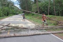 ต้นสนหักโค่นปิดถนน หลังพายุถล่มอุทยานแห่งชาติหาดเจ้าไหม