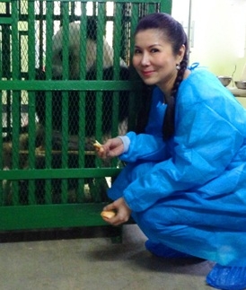 กัญจนา ศิลปอาชา เข้าเที่ยวชมหมีแพนด้า 'หลินปิง' เพื่อให้อาหารที่เชียงใหม่