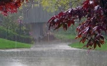 ฝนตก