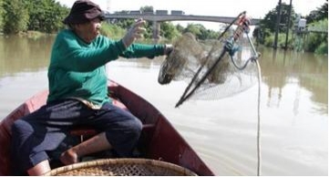 แม่เฒ่าวัย 75 ชีวิตรันทดหาหอยเลี้ยงลูกพิการ