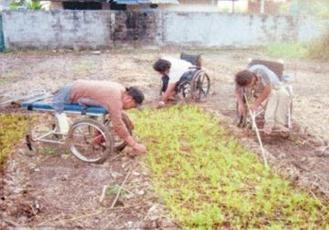 คนพิการภายในมูลนิธิตะวันฉายกำลังปลูกผักสวนครัว