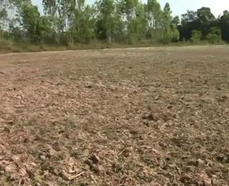 ภัยแล้ง