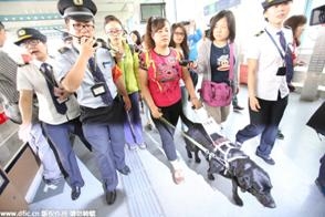 สุนัขนำทาง ผู้พิการทางสายตาขึ้นรถไฟใต้ดิน