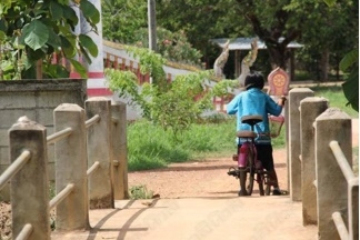 น้องดักแด้ ปั่นจักรยานไปที่วัดบ้านคลองสามัคคีธรรมซึ่งอยู่ติดกับโรงเรียน เพื่อขอกับข้าวที่เหลือจากพระฉัน ก่อนนำกลับไปป้อนให้กับพ่อ