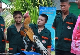 นักเรียนออทิสติก ทำกิจกรรมเลี้ยงไก่นเรศวร ฟื้นฟูพัฒนาสมาธิ