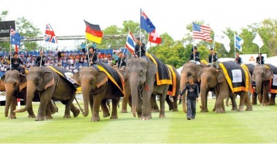 การแข่งขันโปโลช้างชิงถ้วยพระราชทาน พระบาทสมเด็จพระเจ้าอยู่หัว