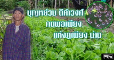 บุญหย่วน ดีคำวงศ์ คนพอเพียง แห่งภูเพียง น่าน ทำเกษตร 2 ไร่ ส่งลูกเรียนจบปริญญา 2 คน