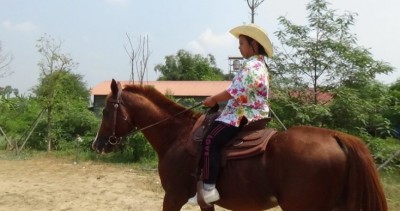 อาชาบำบัดฟื้นฟูศักยภาพเด็กพิการทางสติปัญญา