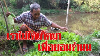 ทึ่ง! ลุงตาบอดสู้ชีวิต ปลูกผักขายหาเลี้ยงตัวเอง ลูกค้าเพียบ คนตาดียังซูฮก “ทำได้ไง”