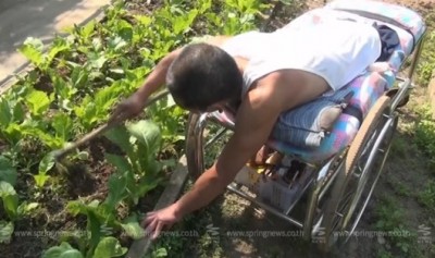 ลุงสมจิตร นอนบนรถเข็นกำลังปลูกผักสวนครัว