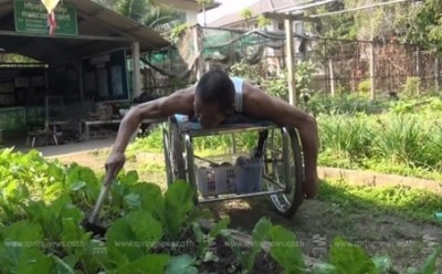 ลุงสมจิตร นอนบนรถเข็นกำลังปลูกผักสวนครัว