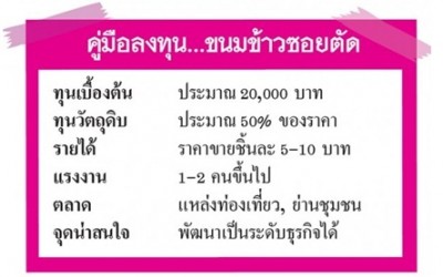 คู่มือลงทุน...ขนมข้าวซอยตัด