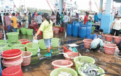 ผู้บริโภคจ๊าก! IUU สัตว์น้ำแพงหูฉี่ ปลาทูไทยขาด- โรงงานแปรรูปนำเข้า วัตถุดิบต้นทุนพุ่ง