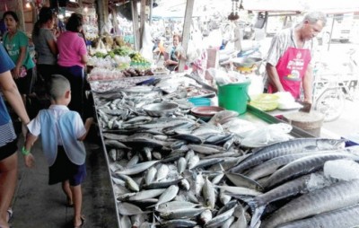 ผู้บริโภคจ๊าก! IUU สัตว์น้ำแพงหูฉี่ ปลาทูไทยขาด- โรงงานแปรรูปนำเข้า วัตถุดิบต้นทุนพุ่ง