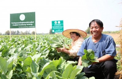 เทสโก้ โลตัส เดินหน้า “รับซื้อผักโดยตรงจากเกษตรกร” ตั้งเป้า 1,000 ครัวเรือน ภายในสิ้นปีนี้