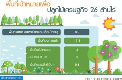 ชงยุทธศาสตร์ไม้เศรษฐกิจ ปลูกป่าเพิ่ม 26 ล้านไร่