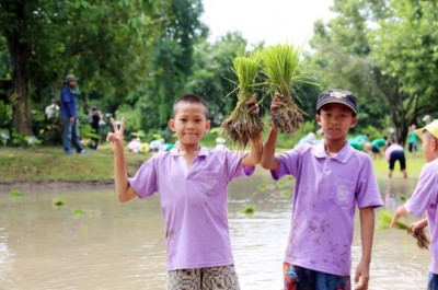 สถาบันวิจัยและพัฒนาพื้นที่สูง (องค์การมหาชน) จัดกิจกรรรมปลูกข้าวเทิดพระเกียรติสมเด็จพระนางเจ้าสิริกิติ์ พระบรมราชินีนาถ ในรัชกาลที่ 9