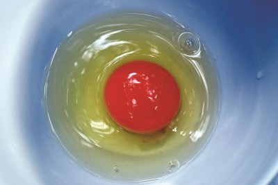 ไข่ไก่นวลสวย