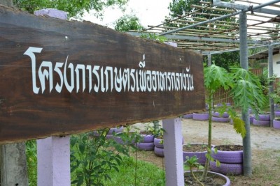 โรงเรียนตชด.บ้านทุ่งสบายใจ สะเดา สงขลา สอนเกษตร เพื่ออนาคตของชาติ