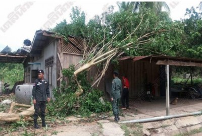 เผยทั่วไทยฟ้าคะนองลดลง 'ภาคใต้'สวนทาง'ฝนตกเพิ่ม'