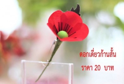 เริ่มแล้ว! สัปดาห์ดอกป๊อปปี้บาน เนื่องในวันทหารผ่านศึก 28 มกราคม-3 กุมภาพันธ์ 2565 นี้