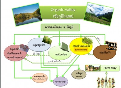 ผลไม้อินทรีย์นานาชนิดของอำเภอหนองบัวแดง