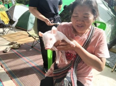 ชาวสุรินทร์อพยพหนีปะทะ ชื่นชมภาพอบอุ่น เด็กพิการ-ลูกหมูร่วมหนีภัย