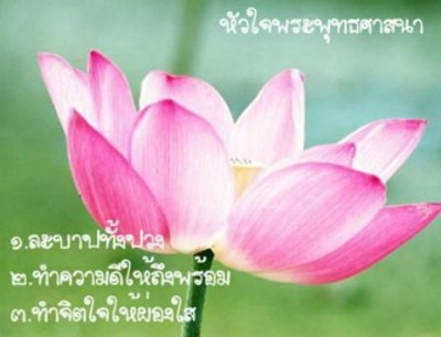 ดอกบัวในสระน้ำ