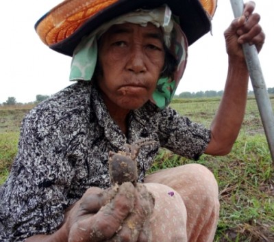 แม่เฒ่าสู้ชีวิตอยู่ตัวคนเดียว แถมพิการ ต้องออกหาขุดปูนาประทังชีวิต รายได้วันละ 18-60 บาท แทบไม่พอยาใส้