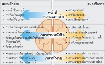 แผนที่สมอง ฝีมือแพทย์ไทย