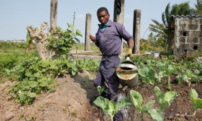 Mateus Mbazo, 23, irrigates his plot in the outskirts of Beira, Mozambique. Mbazo was given agricultural training by social enterprise Young Africa. Photograph: Carlos Litulo/For Light for the World
