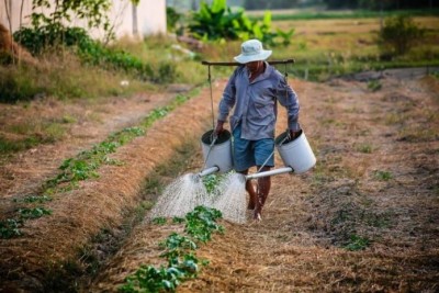 สศก.ระบุ ดัชนีรายได้เกษตรกรยังขยายตัว รุกนโยบายเกษตร เร่งรัดงบตามเป้า กระตุ้นรายได้เกษตรกรเติบโต