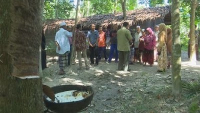 รวมกลุ่มผู้พิการ คนดูแล ตำบลยะต๊ะ จ.ยะลา เลี้ยงนกกระทา สร้างอาชีพ เสริมรายได้