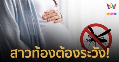 สาวท้องต้องระวัง ป้องกันอย่าให้ยุงกัด ไวรัสในยุงอาจส่งผลให้เด็กพิการ